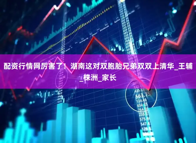 配资行情网厉害了！湖南这对双胞胎兄弟双双上清华_王辅_株洲_家长