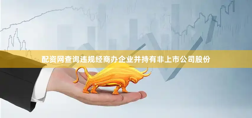 配资网查询违规经商办企业并持有非上市公司股份