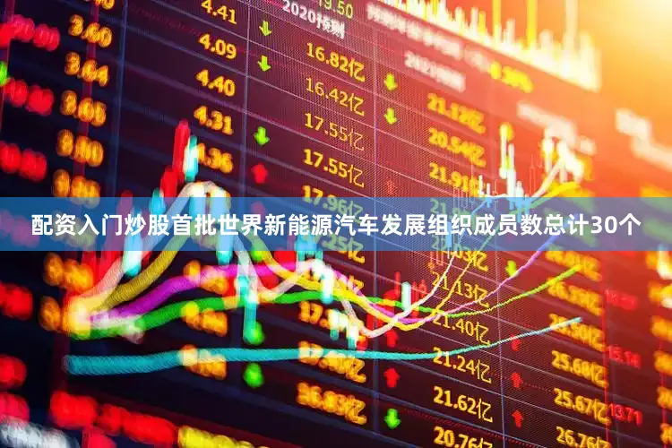 配资入门炒股首批世界新能源汽车发展组织成员数总计30个